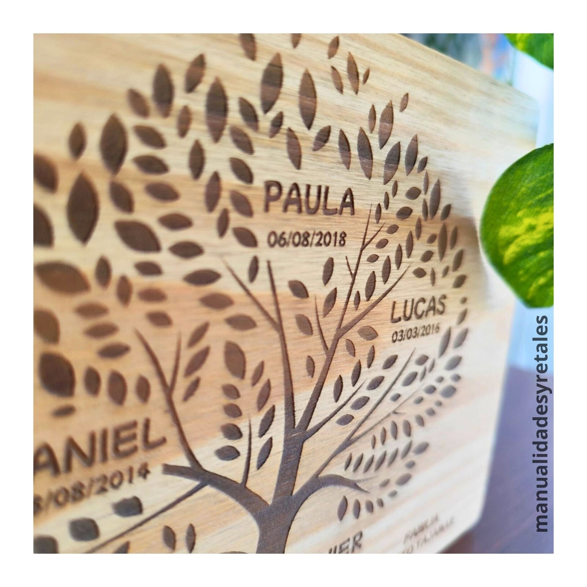 Árbol genealógico personalizado - 2